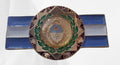 PIN "DISTINTIVO DE NARCOTRAFICO"