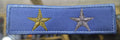 PECTORAL ALFEREZ CELESTE OFICIAL