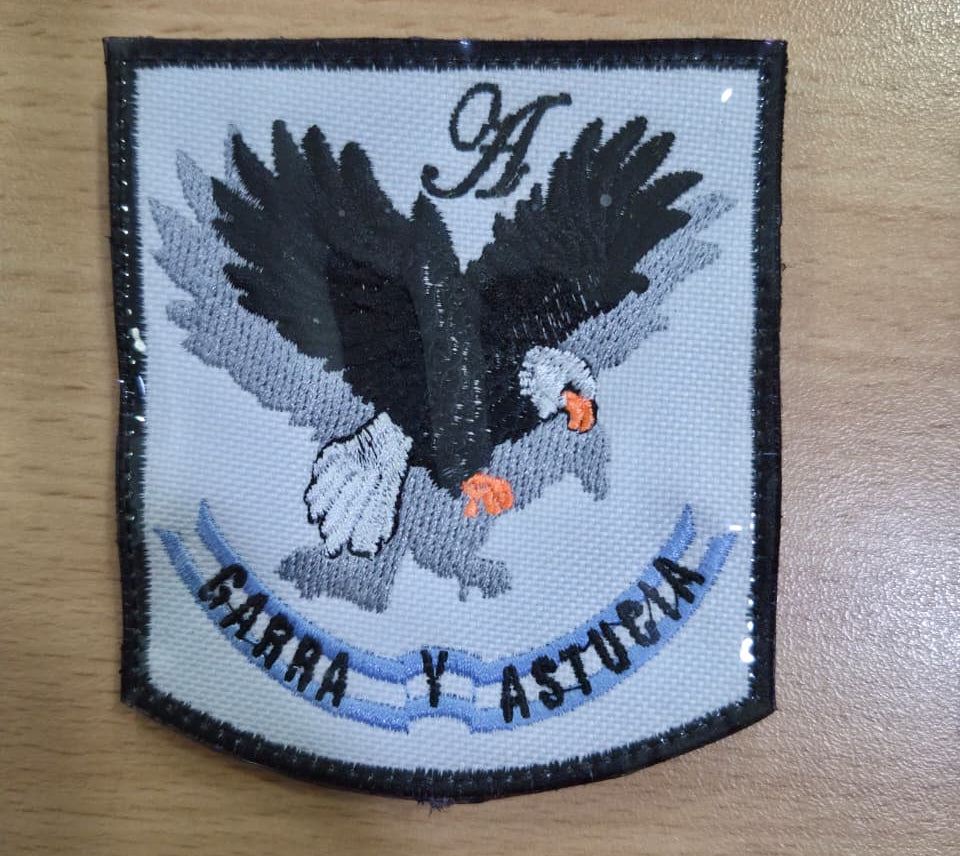 EMBLEMAS DE ESCUADRONES