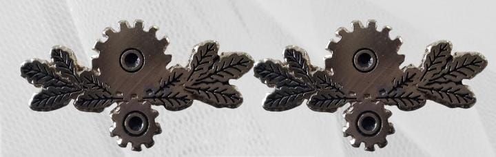 PINES DE ESPECIALIDADES (PARES)