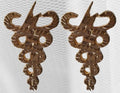 PIN "KINESIOLOGO/FISIOTERAPEUTA" (PAR)