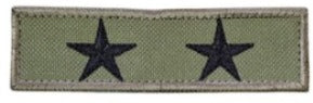 JERARQUIA PECTORAL OFICIAL