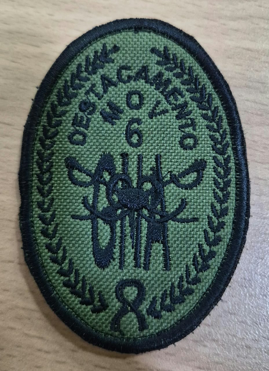 EMBLEMA DEL DESTACAMENTO MOVIL 6 BAJA VISIBILIDAD