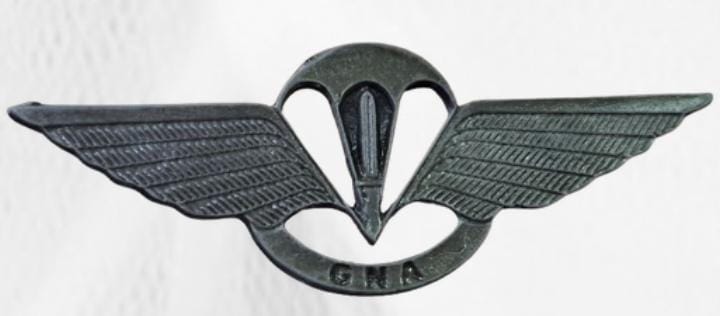 PIN "PARACAIDISTA OPERACIONAL"