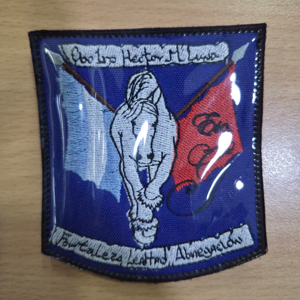 EMBLEMAS DE ESCUADRONES