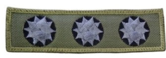 JERARQUIA PECTORAL OFICIAL