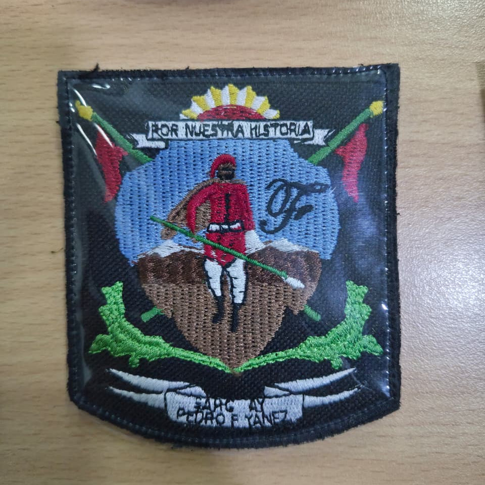 EMBLEMAS DE ESCUADRONES
