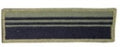 PECTORAL DE SARGENTO AYUDANTE BAJA VISIBILIDAD SUBOFICIAL