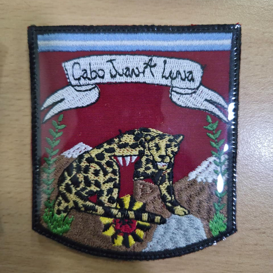 EMBLEMAS DE ESCUADRONES