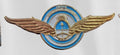 PIN "AVIADOR GN"