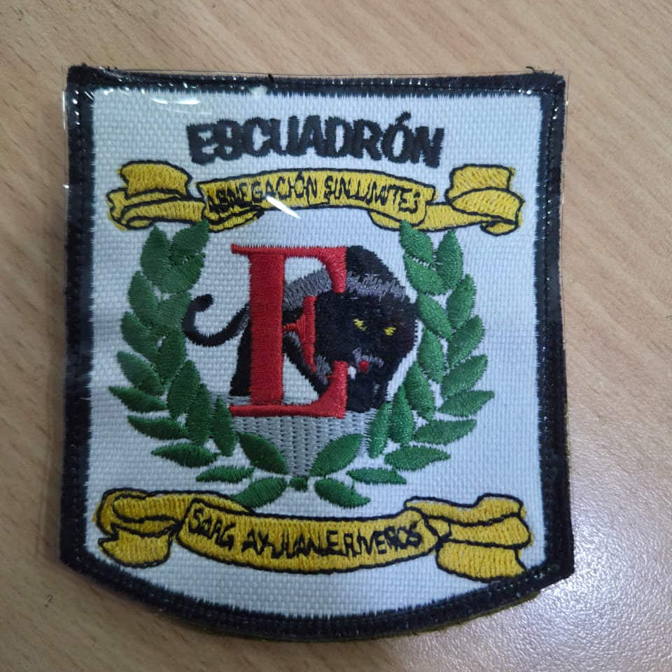 EMBLEMAS DE ESCUADRONES