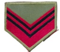 JERARQUIA PECTORAL SUBOFICIAL