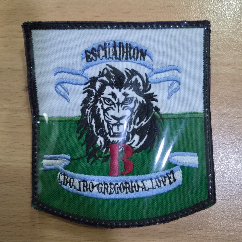 EMBLEMAS DE ESCUADRONES