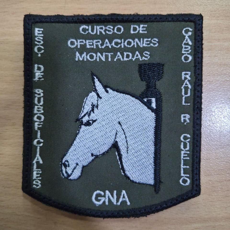EMBLEMAS DE ESCUADRONES