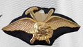PIN "APTITUD ESP. EN ALTA MONTAÑA"