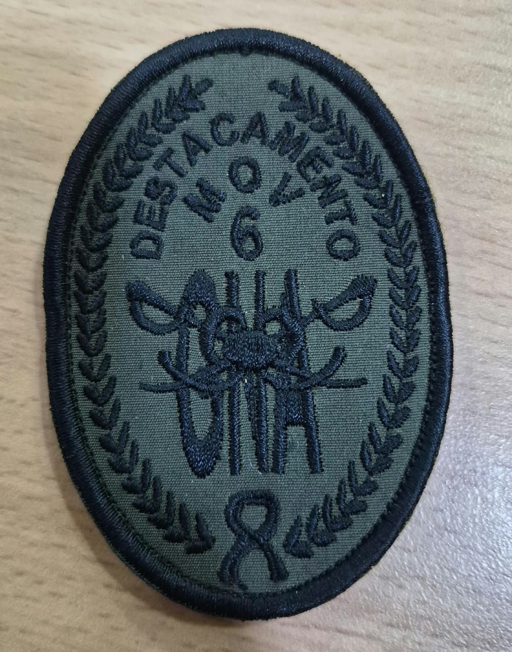 EMBLEMA DEL DESTACAMENTO MOVIL 6 BAJA VISIBILIDAD