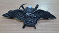 PIN "APTITUD ESPECIAL GNA"