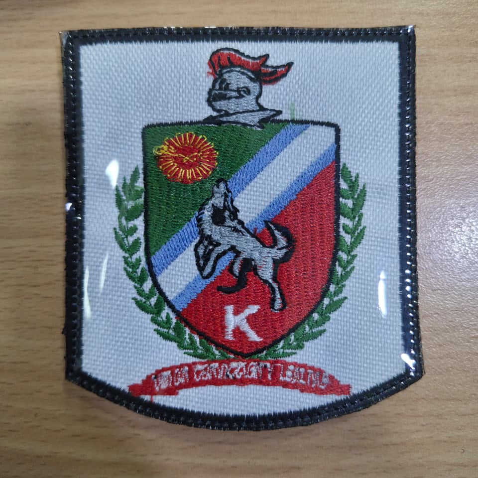 EMBLEMAS DE ESCUADRONES